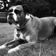 Image for article titled Shooting Challenge: Black & White 3